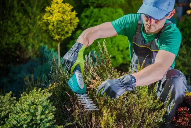 landscaping services Indianola